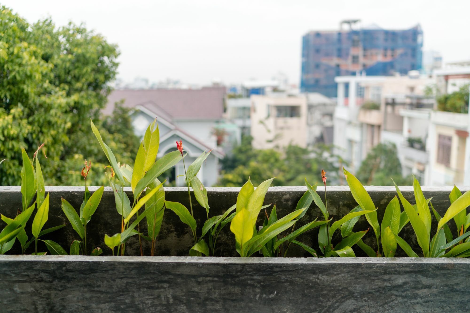 Iam Saigon Homestay Ho Chi Minh City Bagian luar foto
